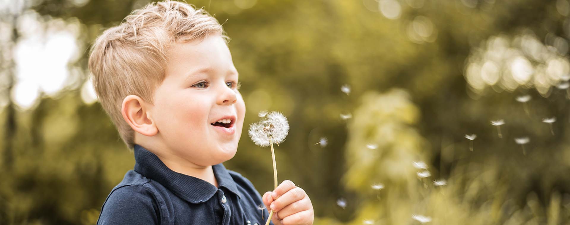 A toddler boy is standing in a field and holding a dandelion that has gone to seed. He blows gently on the dandelion and the seeds float away.
