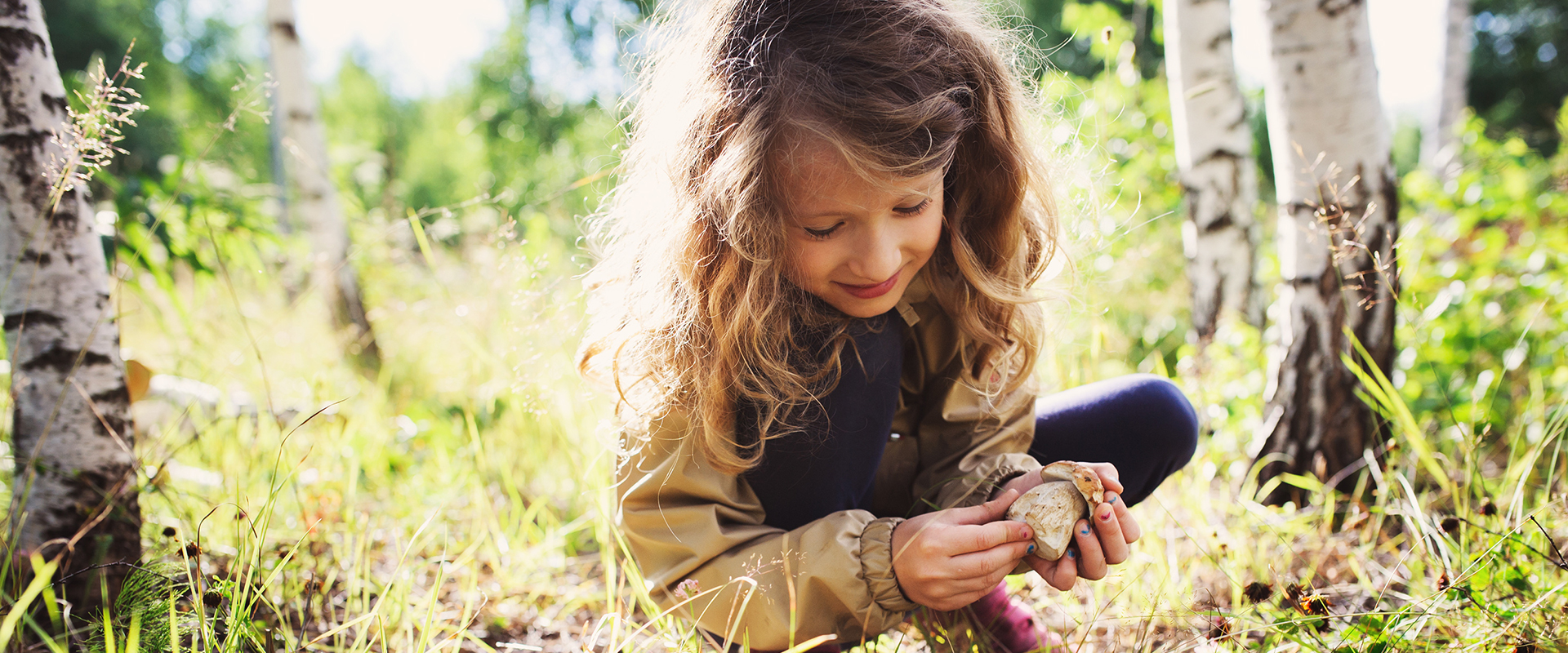 Girl picking wild mushrooms in a forest during summer.