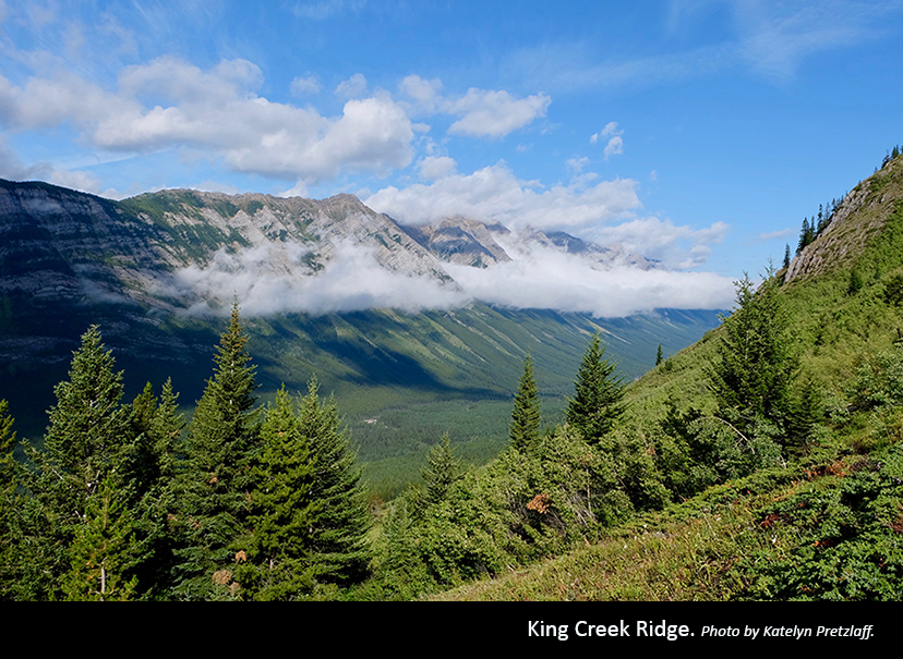 King Creek Ridge Photo by Katelyn Pretzlaff