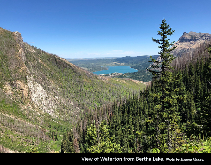 View of Waterton from Bertha Lake Photo by Sheena Moore