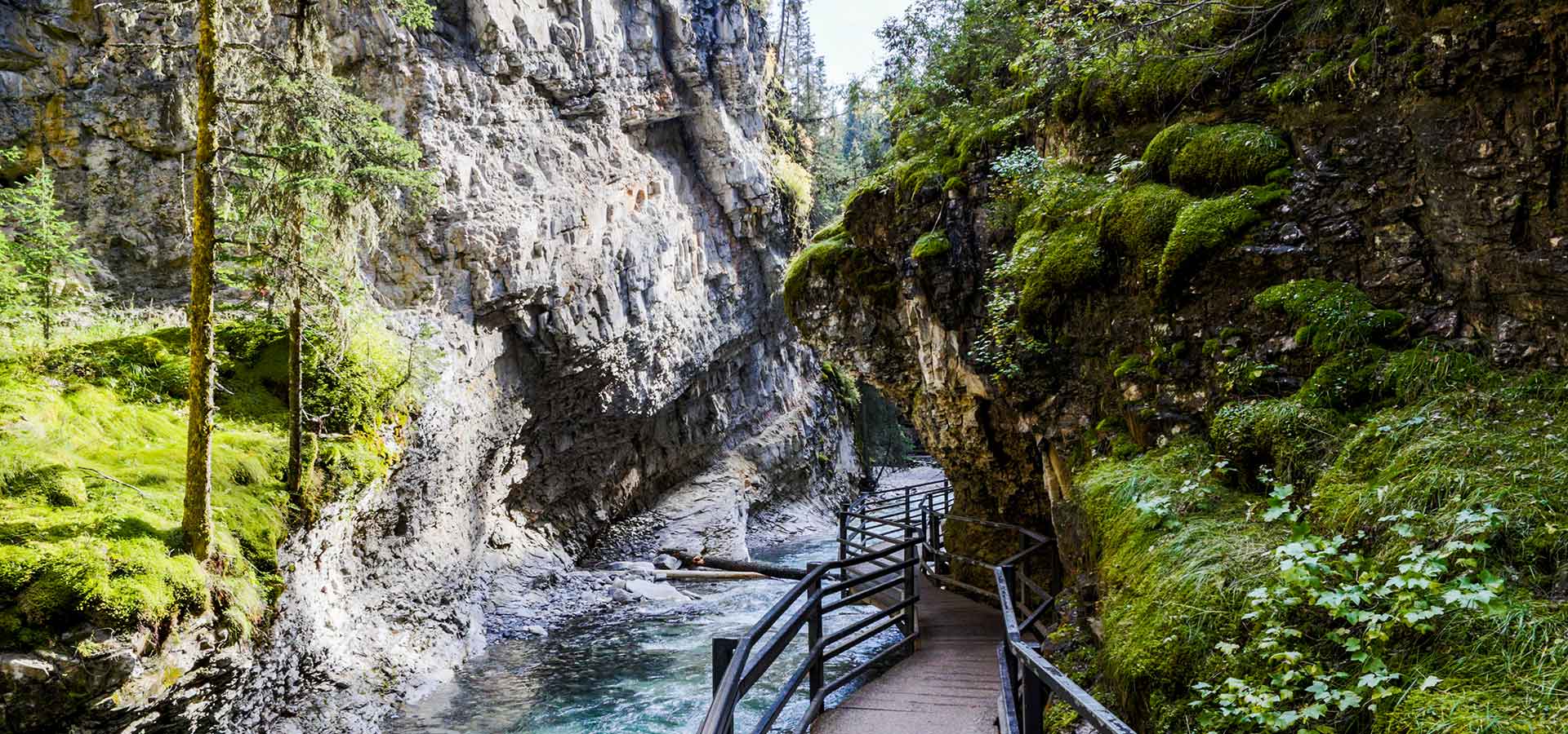 A suspended walkway snakes along the edges of Johnston's Canyon. The cliff faces are covered in moss.