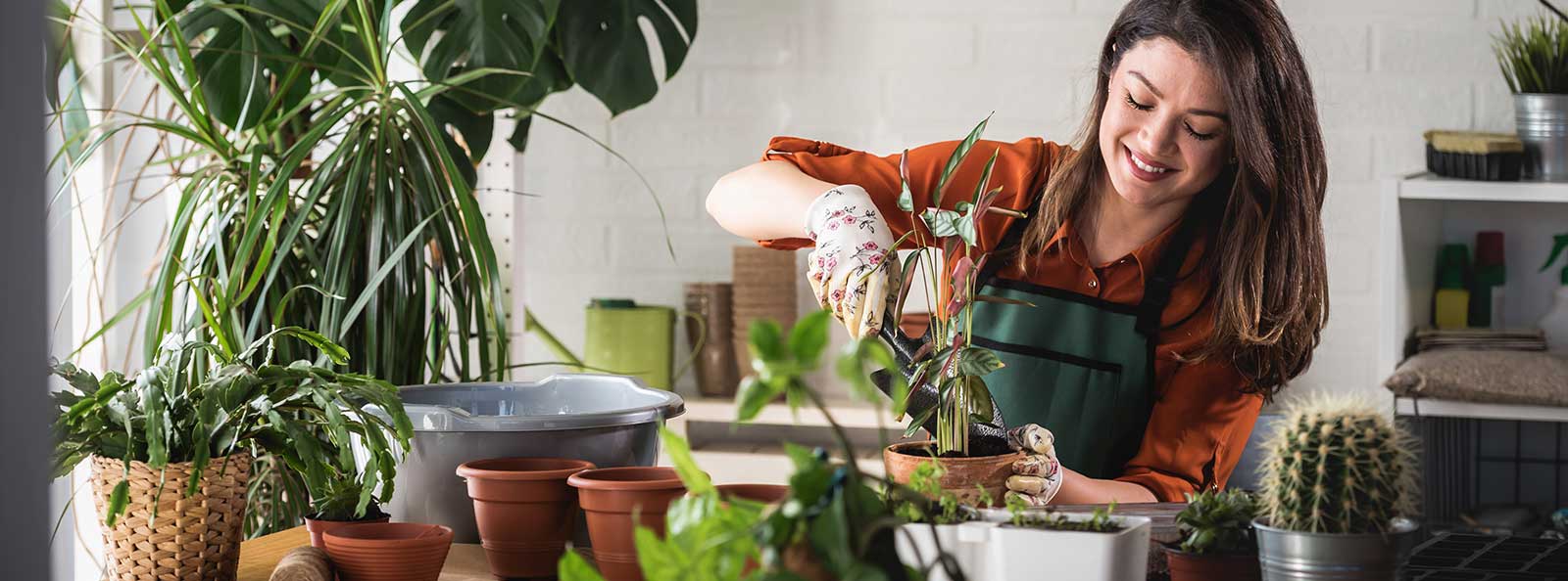 Young woman potting a plant at home. Engaging leisure activities. Indoor gardening.