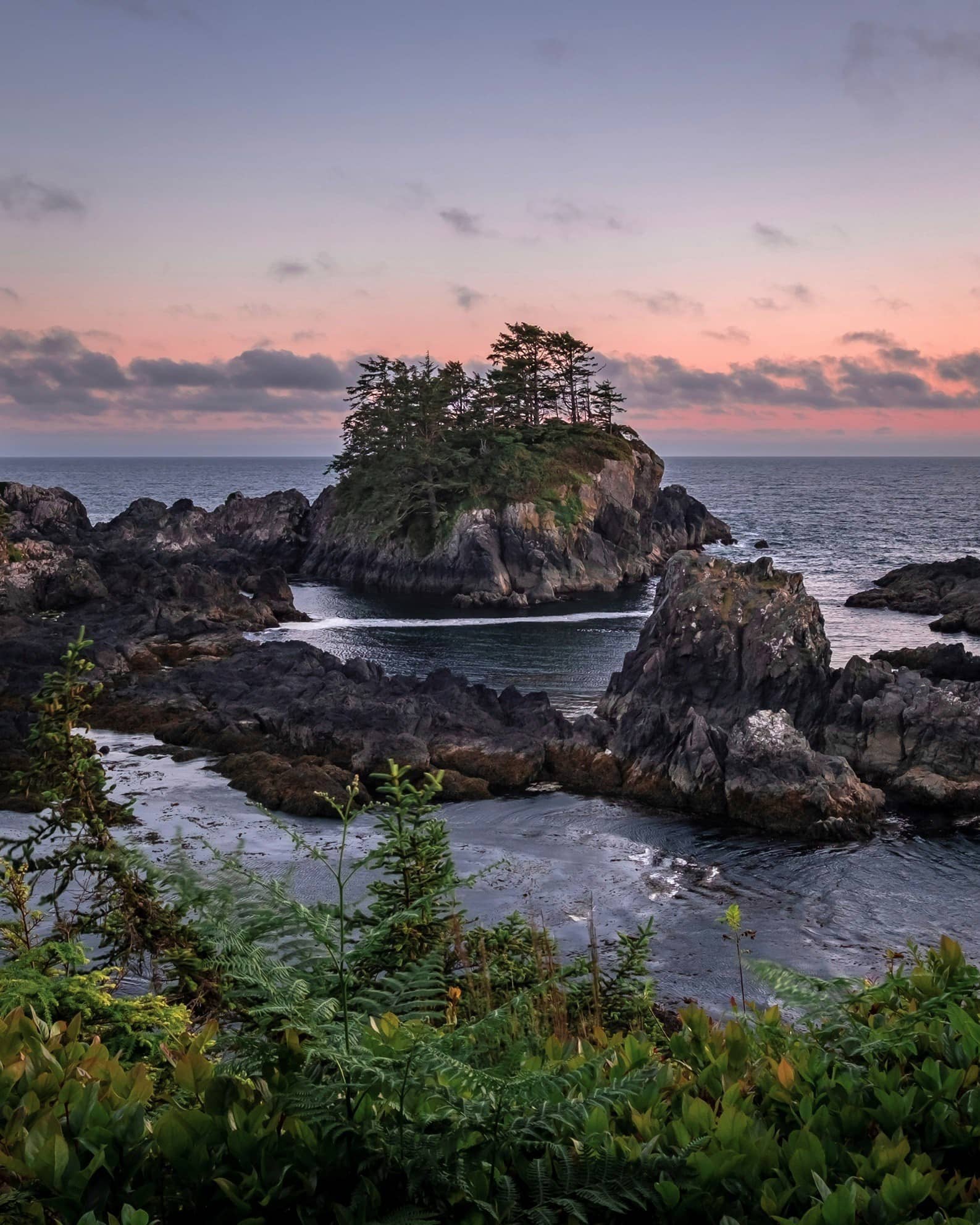 Tree-covered rock near the coast.