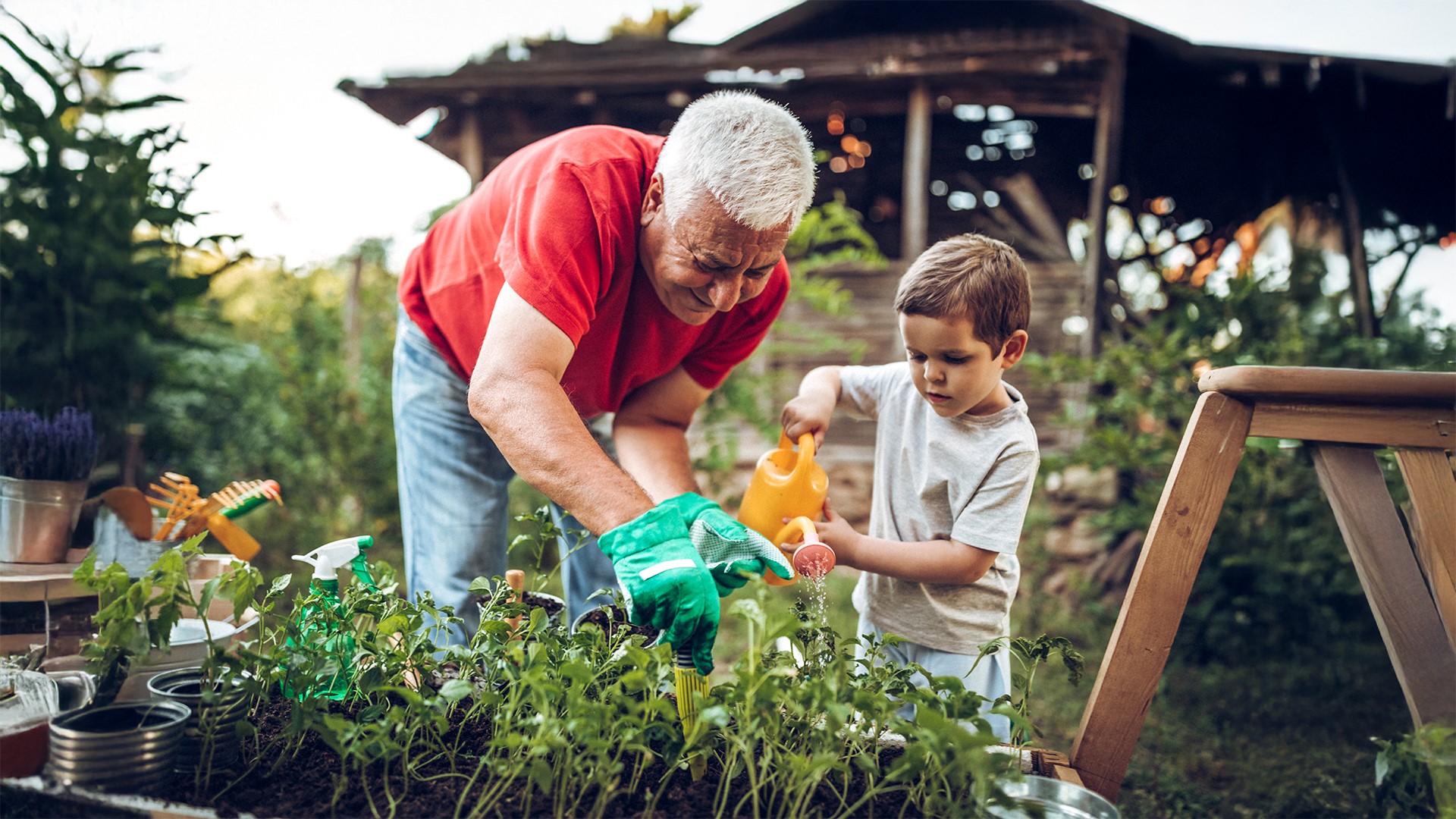 Maximize time off work with employee benefits